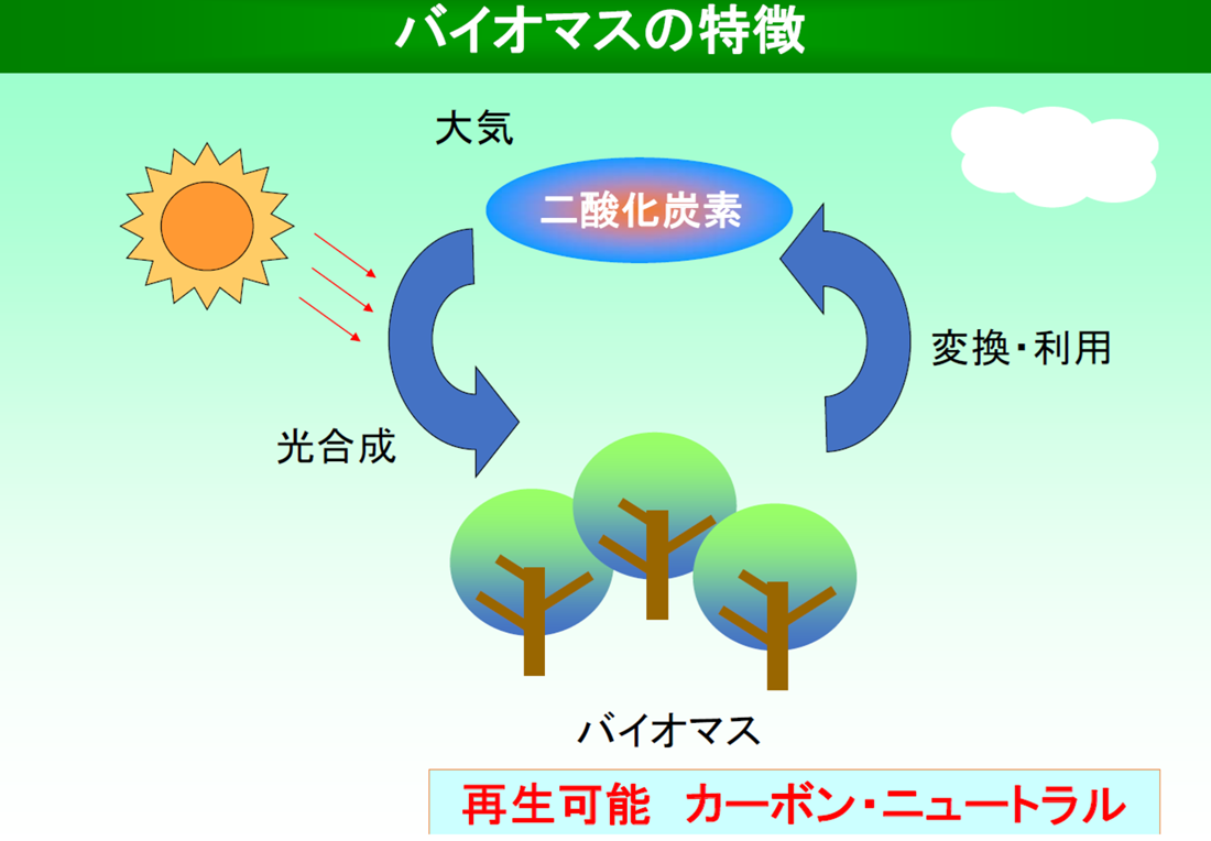 バイオマスの特徴